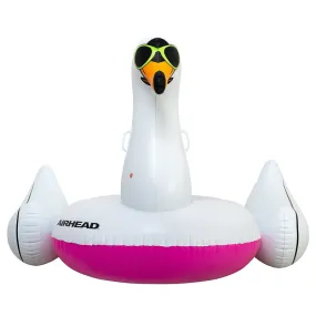 Airhead™ COOL SWAN Pool Float